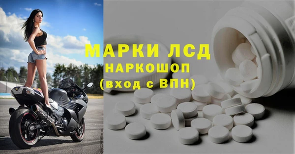 прущие грибы Надым