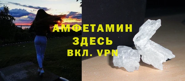 прущие грибы Надым
