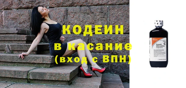 прущие грибы Надым
