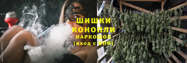 прущие грибы Надым