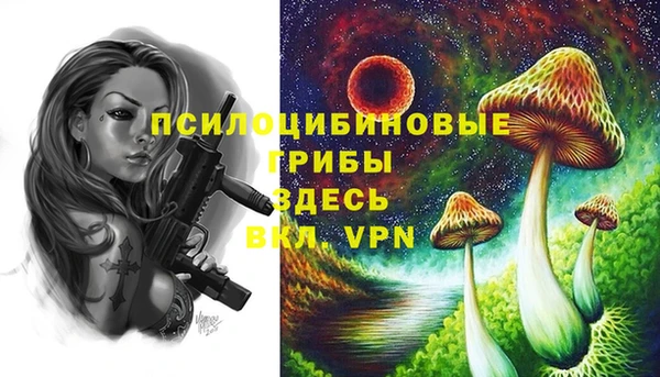 экстази Михайловск