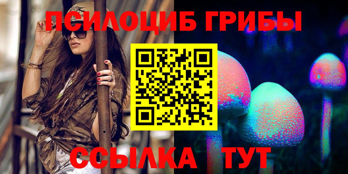 Галлюциногенные грибы Psilocybe  Белгород  Псилоцибиновые грибы прущие грибы 