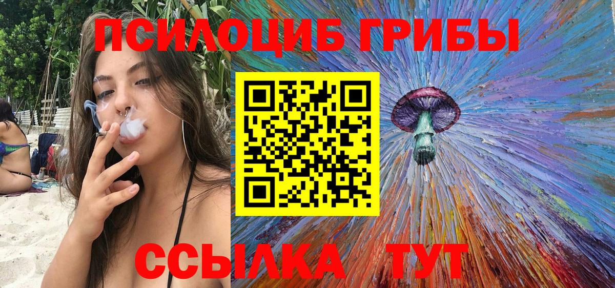 Галлюциногенные грибы Psilocybe  Вход с VPN  Белгород 