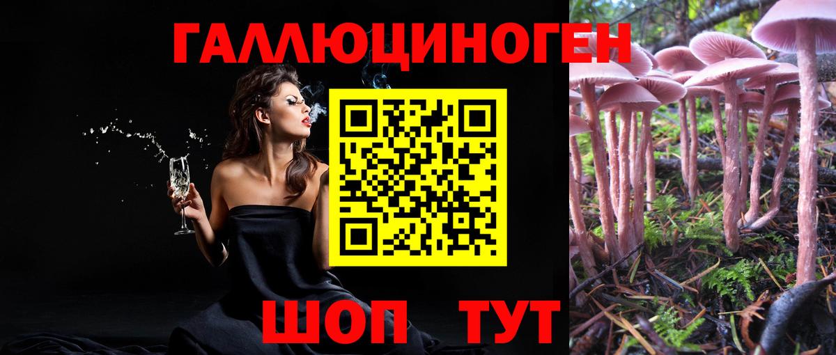 Псилоцибиновые грибы MAGIC MUSHROOMS Белгород