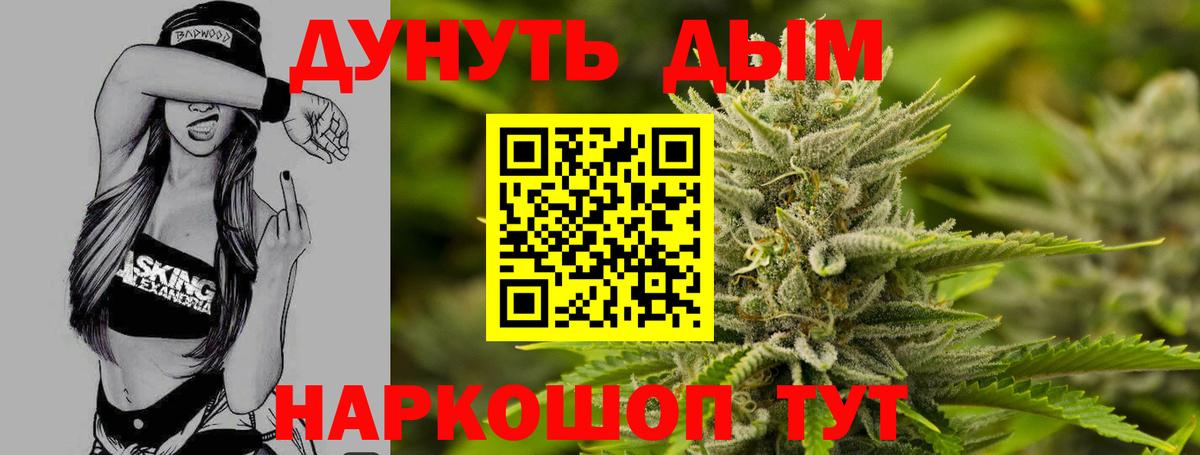 Бошки Шишки конопля  МАРИХУАНА планчик  Конопля Ganja  Каннабис Amnesia  Белгород 